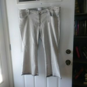 Lane Bryant Boyfriend jeans . Size 22